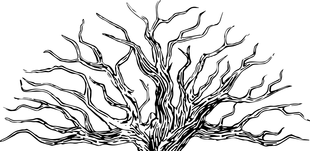 Paper Assistants logo